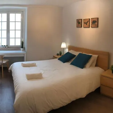 Cosy In The Center Of Homestay